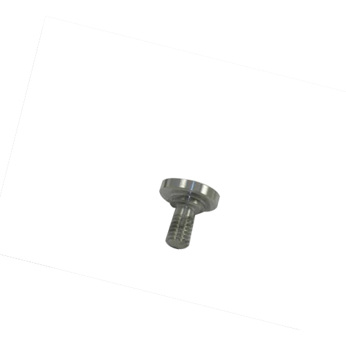 Screws *Ct Ss Round  Hanging